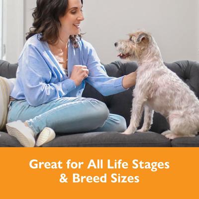 Dessert Jacs Pumpkin Flavored Dog Treats, 10-oz bag