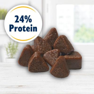 Dessert Jacs Pumpkin Flavored Dog Treats, 10-oz bag