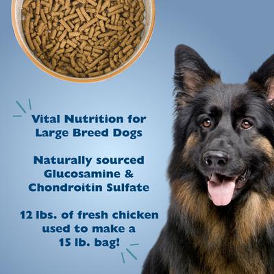 Large Breed Adult Chicken Recipe Dry Dog Food, 15-lb bag