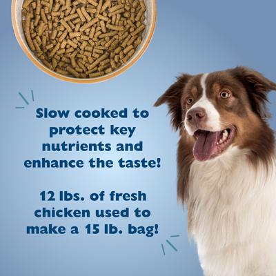Adult Select Chicken Recipe Dry Dog Food, 15-lb bag