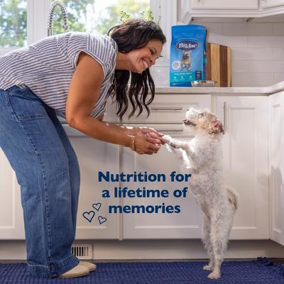 Small Breed Adult Chicken, Oatmeal & Yams Recipe Dry Dog Food, 6-lb bag