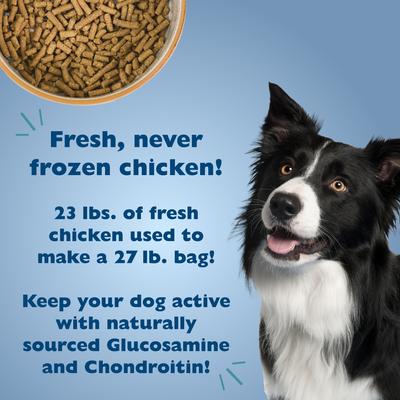 Alimento seco para perros Picky No More de razas medianas y grandes con receta de hígado de pollo, bolsa de 27 lb