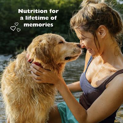 Alimento seco para perros Picky No More de razas medianas y grandes con receta de hígado de pollo, bolsa de 27 lb