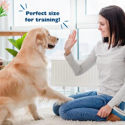 YappleNanas Apple & Banana Flavor Soft Dog Treats, 4-oz bag