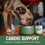 Cardiovascular Support Dog & Cat Supplement, 4.5-fl oz bottle