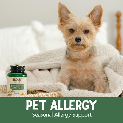 Pet Allergy Dog & Cat Supplement, 75 count