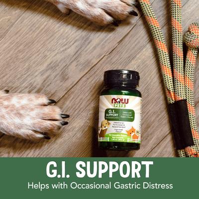GI Support Dog & Cat Supplement, 90 count