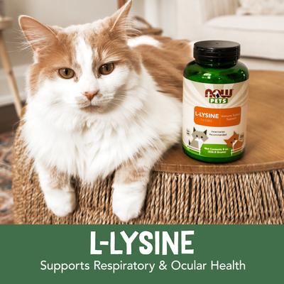 L-Lysine Immune System Support Cat Supplement, 8-oz jar
