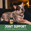 Joint Support Dog & Cat Supplement, 90 count