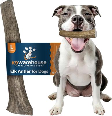 Elk Antlers - Premio masticable para perros enteros, tamaño XX grande