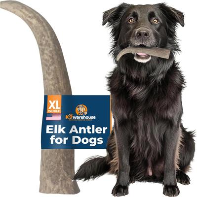 Elk Antlers XX-Large Whole Dog Chew Treat
