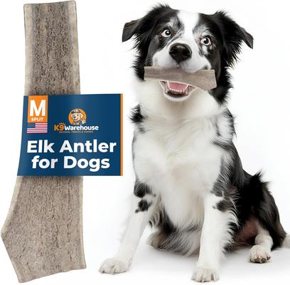 Elk Antlers Medium Split Dog Chew Treat