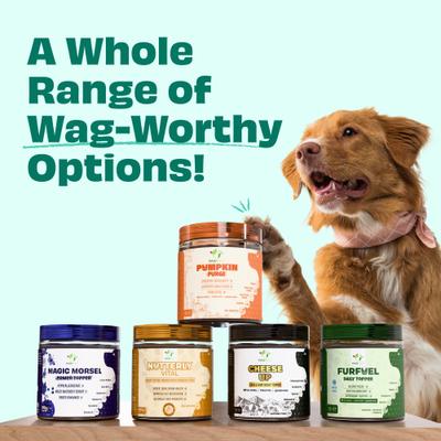 Pumpkin Purge All Natural Grain-Free Dog Food topper, 8.81-oz jar