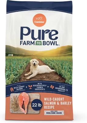 Pure Farm to Bowl Wild-Caught Salmon & Barley Recipe Dry Dog Food, 22-lb bag