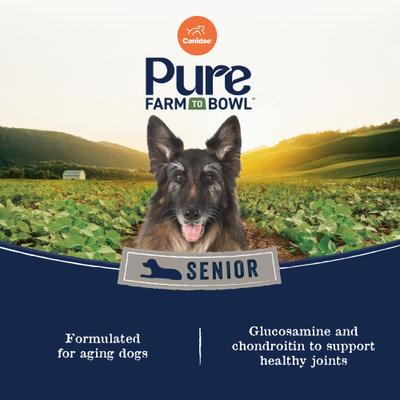 Grain-Free PURE Senior Limited Ingredient Chicken, Sweet Potato & Garbanzo Bean Recipe Dry Dog Food, 12-lb bag