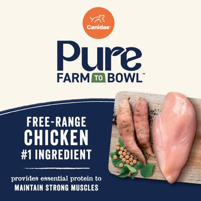 Grain-Free PURE Senior Limited Ingredient Chicken, Sweet Potato & Garbanzo Bean Recipe Dry Dog Food, 12-lb bag