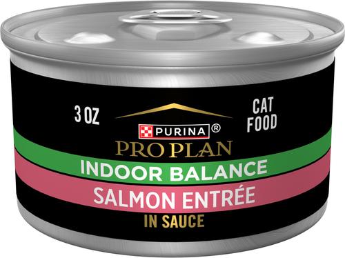 Focus Adult Indoor Care Salmon & Rice Entree in Sauce Canned Cat Food, 3-oz, case of 24