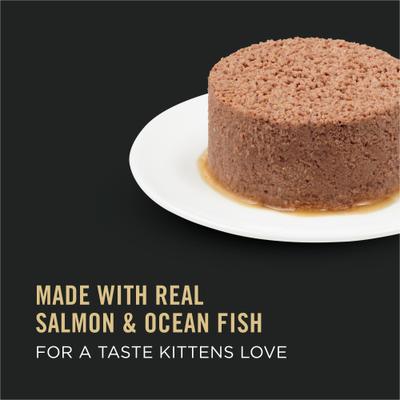 Kitten Classic Salmon & Ocean Fish Entree Canned Cat Food, 3-oz, case of 24