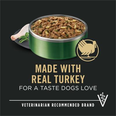 Adult Small Breed High-Protein Turkey & Spinach Entree in Gravy Shredded Wet Dog Food, 5.5-oz can, case of 24