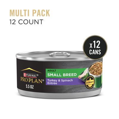 Adult Small Breed High-Protein Turkey & Spinach Entree in Gravy Shredded Wet Dog Food, 5.5-oz can, case of 24