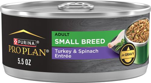 Adult Small Breed High-Protein Turkey & Spinach Entree in Gravy Shredded Wet Dog Food, 5.5-oz can, case of 24