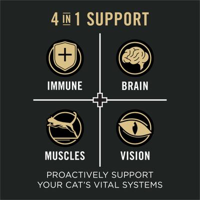Vital Systems Chicken Entree in Wet Cat Food Gravy, 3-oz can, case of 24