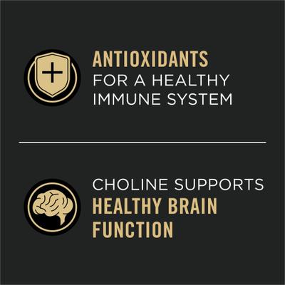 Vital Systems Seafood Entree in Wet Cat Food Gravy, 3-oz can, case of 24