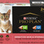 Focus Sensitive Skin & Stomach Classic Duck Grain-Free Entree Canned Cat Food, 3-oz, case of 24