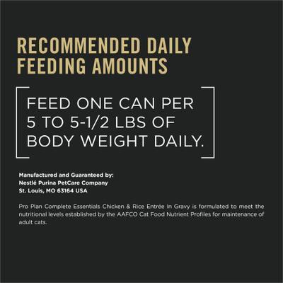 Adult Chicken & Rice Entree in Gravy Canned Cat Food, 5.5-oz, case of 24