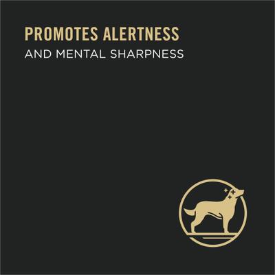 Bright Mind Senior Adult 7+ Beef & Brown Rice Entree Wet Dog Food, 10-oz tub, case of 8