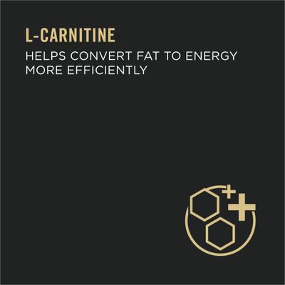 Focus Healthy Metabolism Formula Chicken Entrée in Gravy Adult Canned Cat Food, 3-oz, case of 24