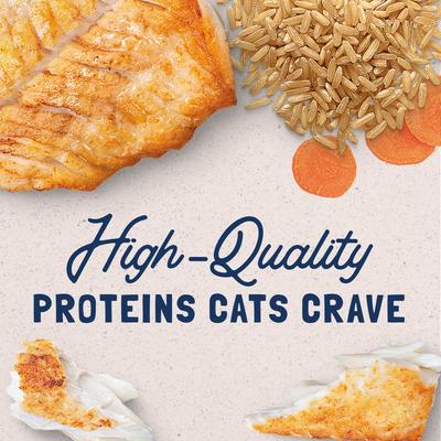 Ultra Premium Ocean Fish Formula Canned Cat Food, 5.5-oz, case of 24