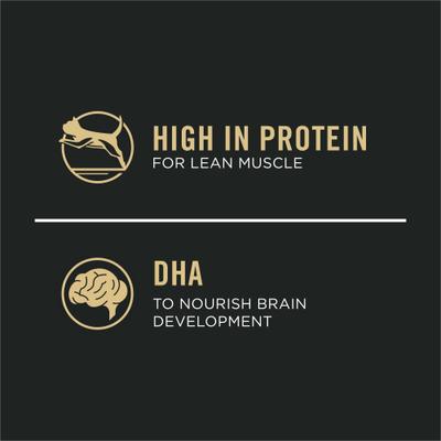 Vital Systems Chicken & Salmon Entrée Variety Pack 4-in-1 Muscles, Brain, Immune & Bone Wet Kitten Food, 3-oz can, case of 24