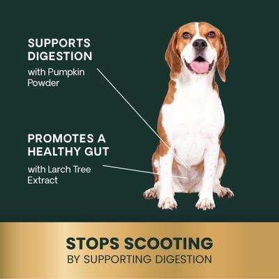 Express Ease Soft Chews Digestive Supplement for Dogs, 40 count