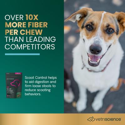 Express Ease Soft Chews Digestive Supplement for Dogs, 40 count