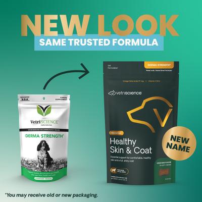 Derma Strength Soft Chews Skin & Coat Supplement for Dogs, 70 count