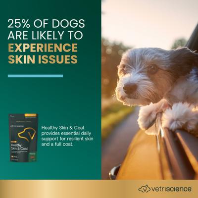 Derma Strength Soft Chews Skin & Coat Supplement for Dogs, 70 count