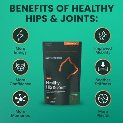 GlycoFlex 2 - Masticables blandos con sabor a hígado de pollo para gatos (60 unidades)