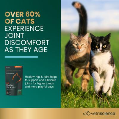 GlycoFlex 2 - Masticables blandos con sabor a hígado de pollo para gatos (60 unidades)