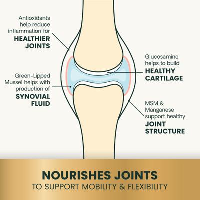 GlycoFlex 2 - Masticables blandos con sabor a hígado de pollo para gatos (60 unidades)