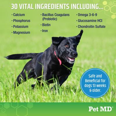 5-in-1 Multivitamin Soft Chew for Dogs, 60 count