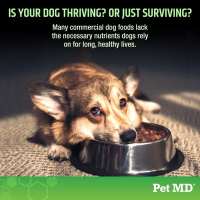 Masticable suave multivitamínico 5 en 1 para perros, 60 unidades