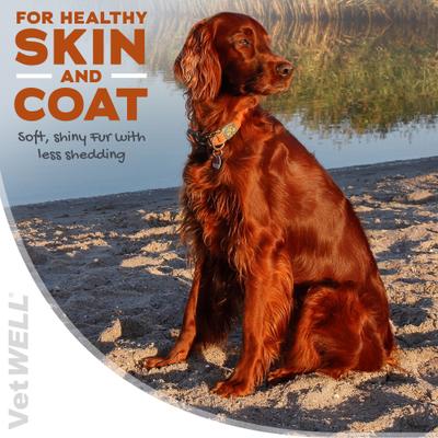 DermWell Omega 3 6 9 Soft Chew Supplement for Dogs, 60 count