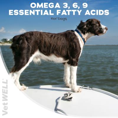 DermWell Omega 3 6 9 Soft Chew Supplement for Dogs, 60 count