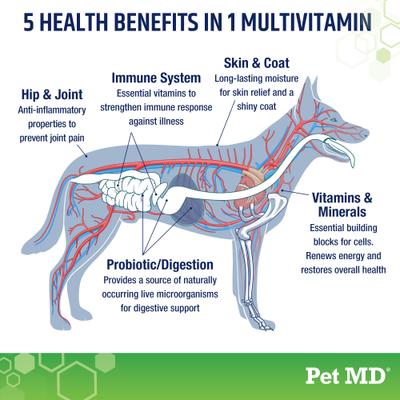 5-in-1 Multivitamin Soft Chew for Dogs, 60 count