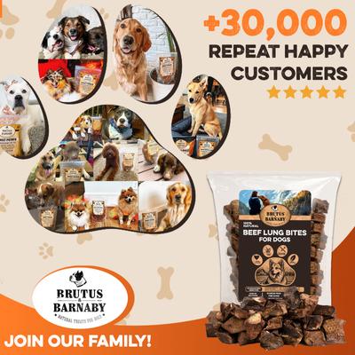 Single-Ingredient High Protein Beef Lung Bites Dehydrated Dog Treats, 8-oz bag