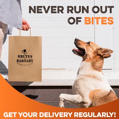 Single-Ingredient High Protein Beef Lung Bites Dehydrated Dog Treats, 8-oz bag