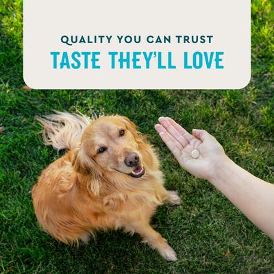 Hip & Joint Health Chicken Flavored Chewable Tablet Supplement for Dogs, 60 count