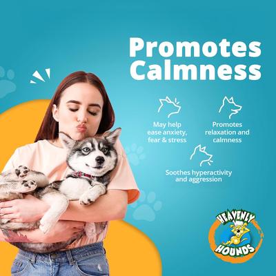 Relaxation Square Peanut Butter Flavor Stress & Anxiety Relief Dog Supplement, 12 count