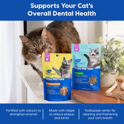 Kiss Me-Ow - Masticables dentales fortalecedores de pollo para gatos, crujientes premios, bolsa de 85 g